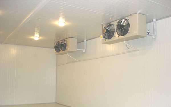 冷庫是否可以起到殺菌消毒的作用？