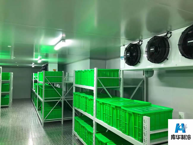 肉類速凍冷庫溫度是多少？肉類冷庫怎么建造