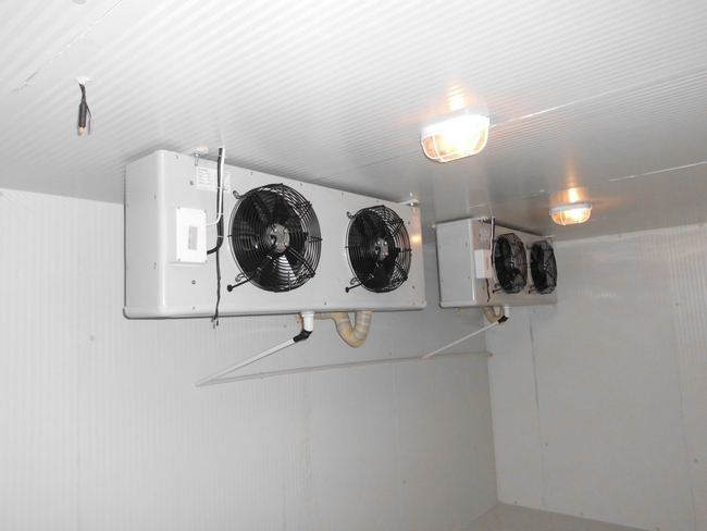 什么是冰庫？冰庫如何設計建造